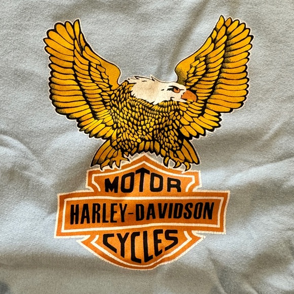 Vintage 1980’s pale blue Harley Davidson graphic crewneck. - Picture 2 of 4